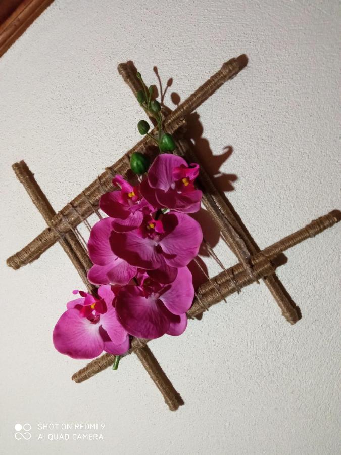 Casa Dos Grilos 佩纳科瓦 外观 照片