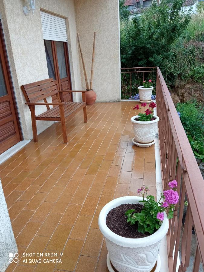 Casa Dos Grilos 佩纳科瓦 外观 照片