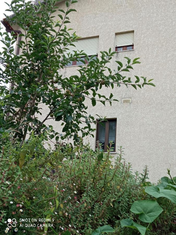 Casa Dos Grilos 佩纳科瓦 外观 照片